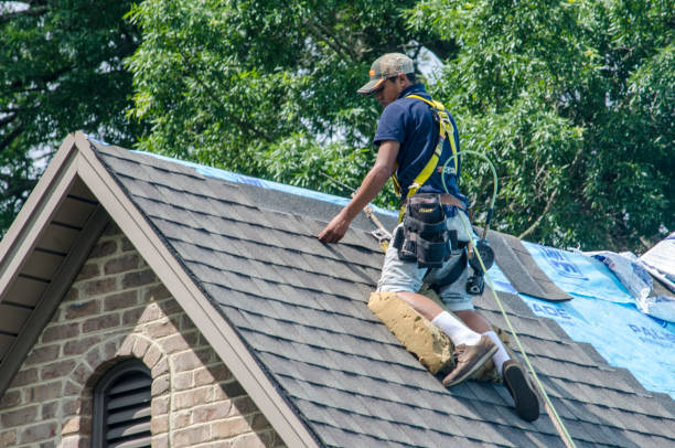 Best Metal Roofing Contractor  in Marionville, MO